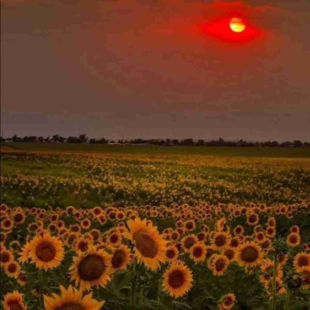  عشق من منو صدا کن