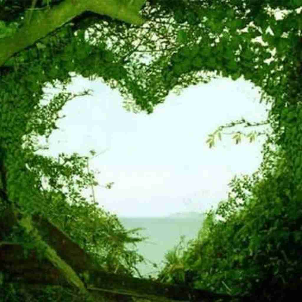 یکم خوشی لازمه حالمه سفارشه یکی هی بگه دارمت بهم اراده شه