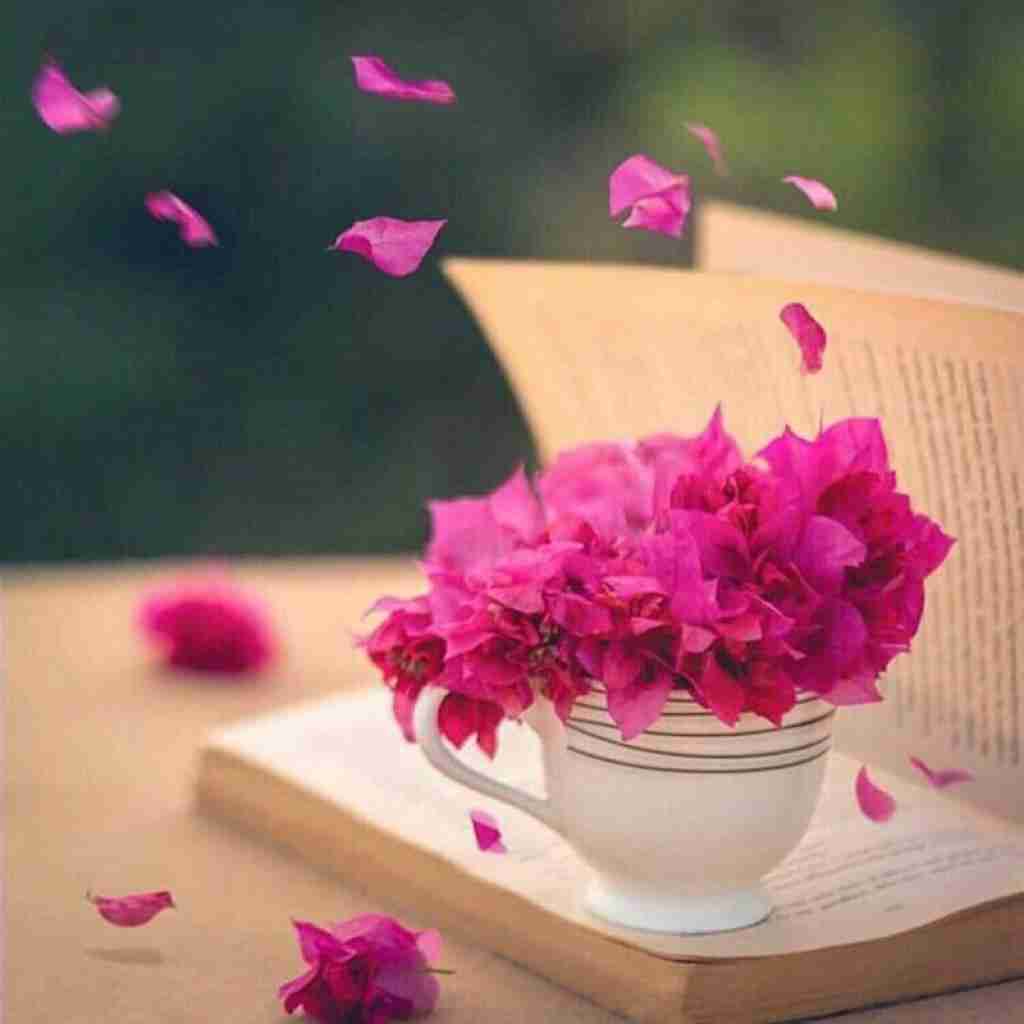 اگه گل بودی تو رو از این باغ میچیدمت با صدای زن