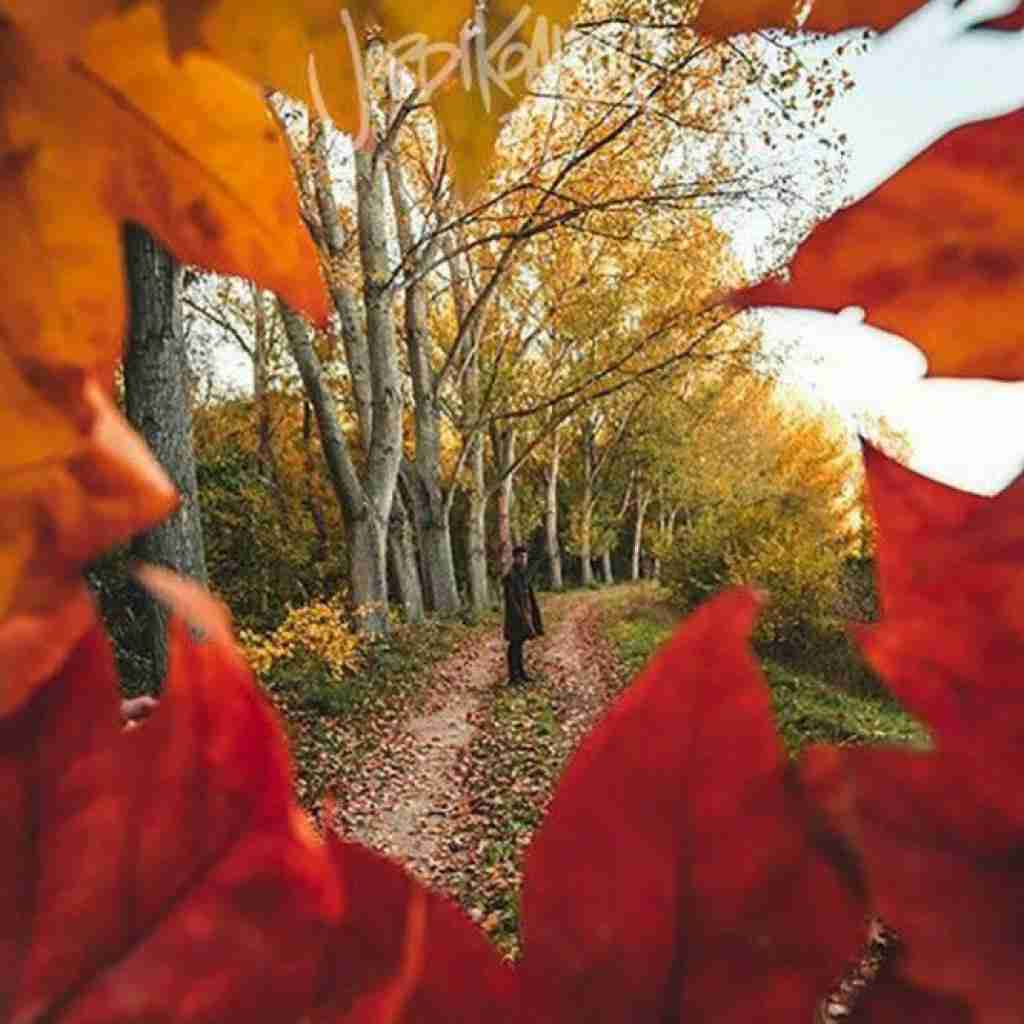  صدای اذون میاد می پیچه تو نفس ساده ی صبح