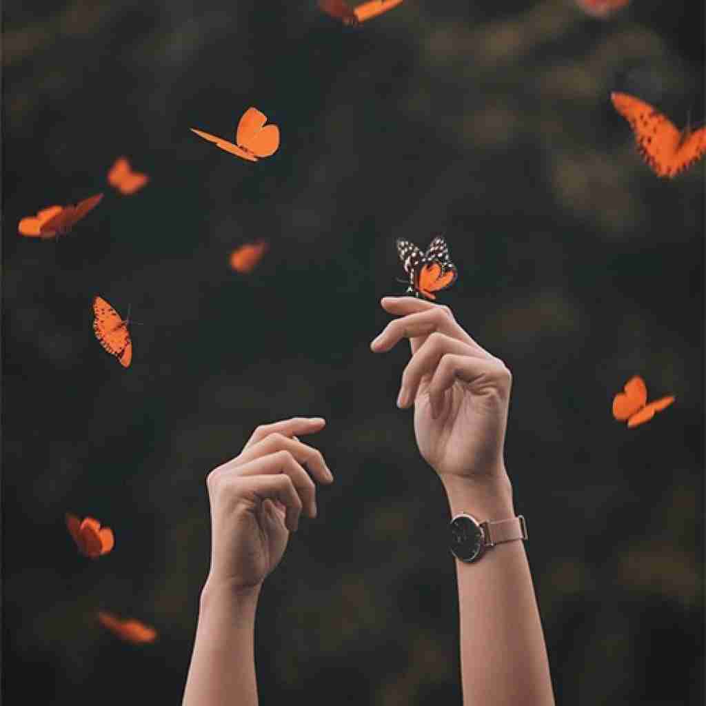 ای منیم جوجه لریم فانک