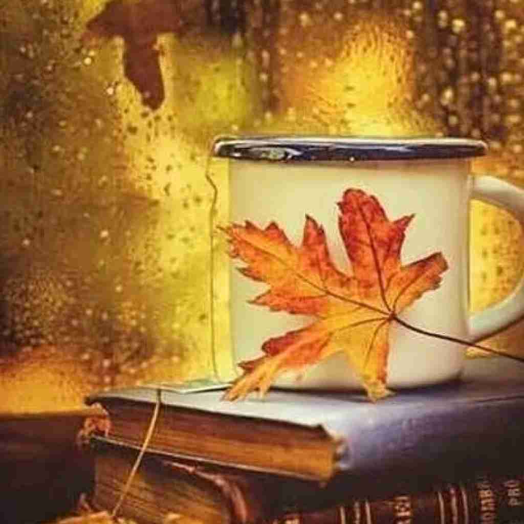 قاطی پاتی زده امشب سپی گجه داف رو نایس دیدم