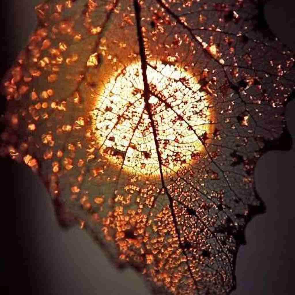 هی چه فاز سنگینی