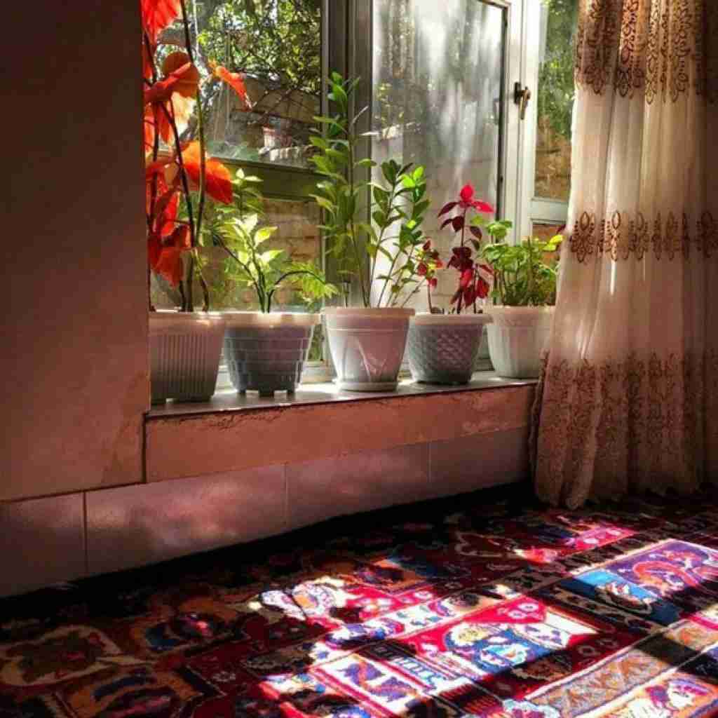 زازا رو لبمون بالاعه دوزا باب میل تر از این نمیشه اوضاع