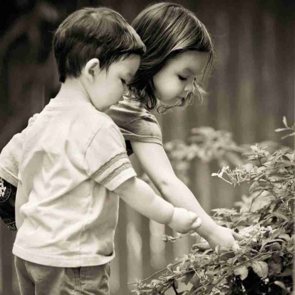 پیک بریز بزار واشیم یچی پلی کن تا پاشیم