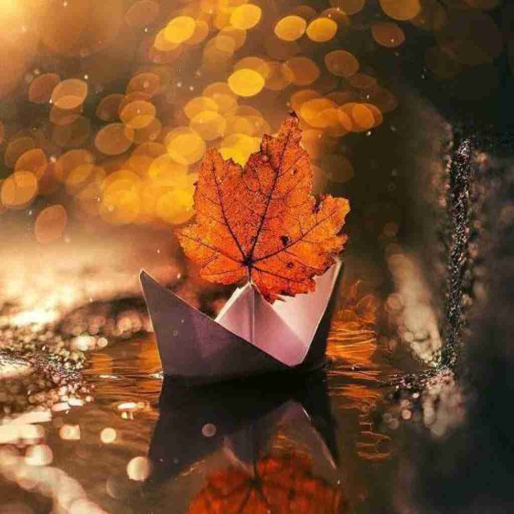  خوشحالم از اینکه خدا تورو داده به من با صدای زن