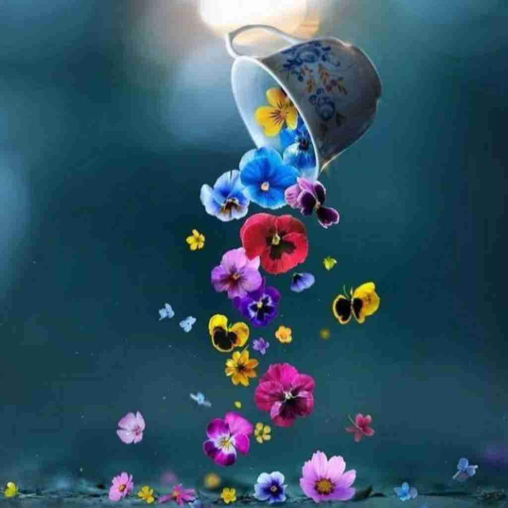 به کجا رسیدی من هیچ جا نرسیدم