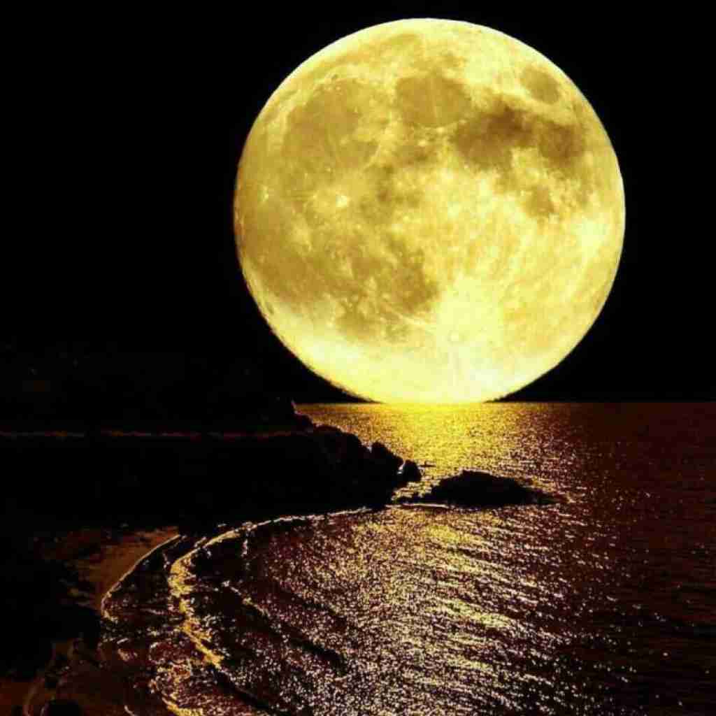  جان به لبم کردی بس که تو خونسردی با صدای زن هوش مصنوعی