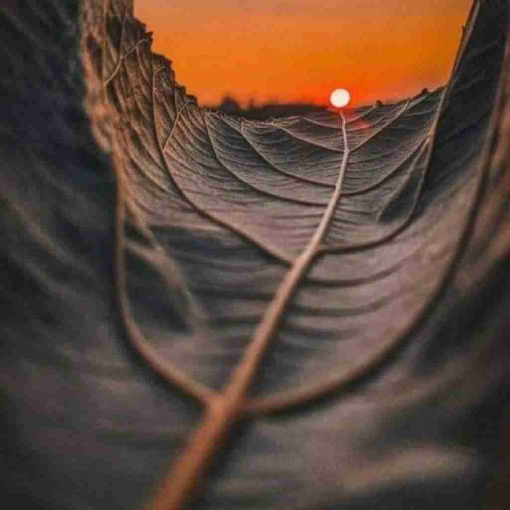 دیدی نشد بهتر حالم دیدی هنوز دوست دارم شادمهر (هوش مصنوعی)