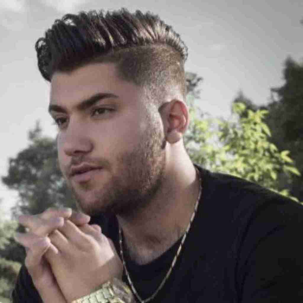 حامد سنجابی مصرف