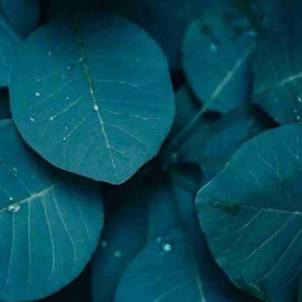 نداشتی جنبه آخر شکوندی دلمو سنگدل