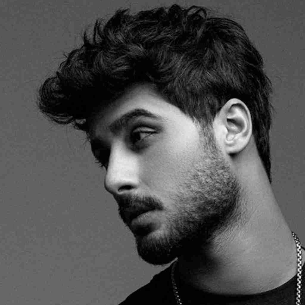 کیسان عکس گرگ چسبوندم به دیوار اتاقم