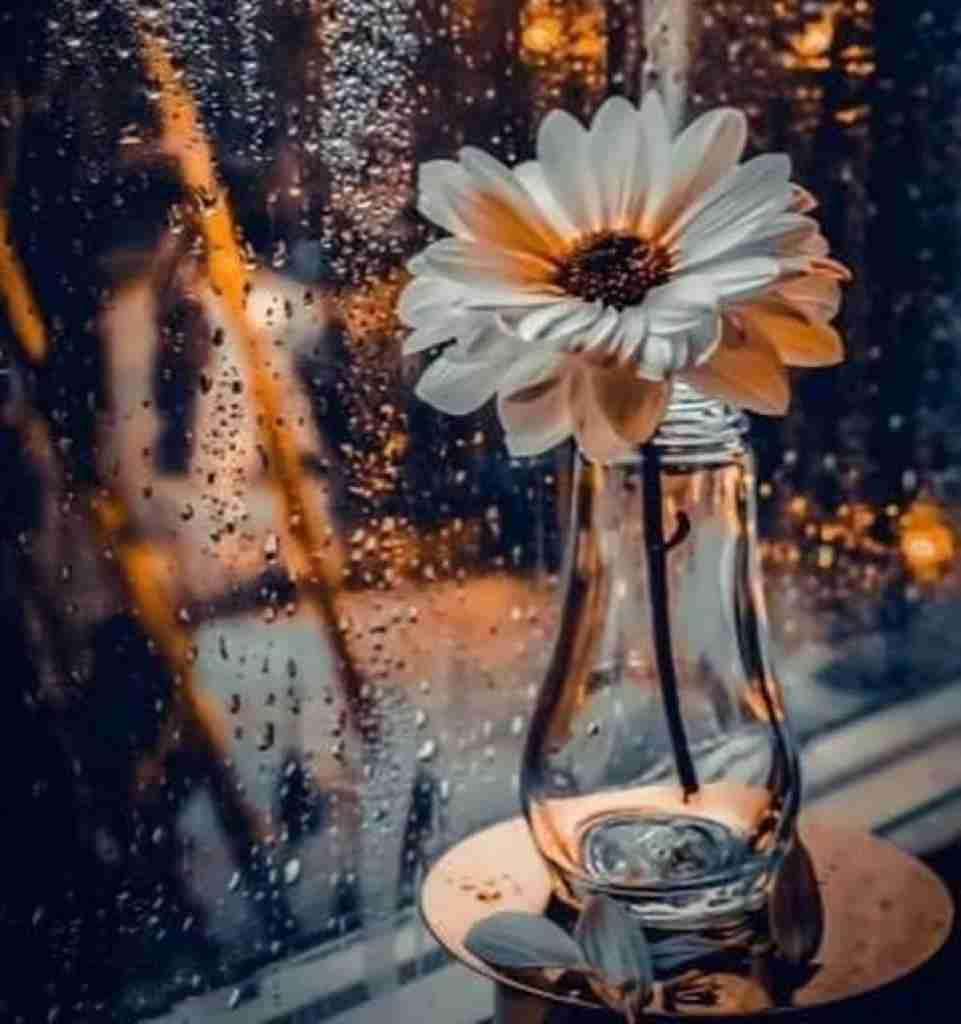 ژینا گل من گل خوشگل من