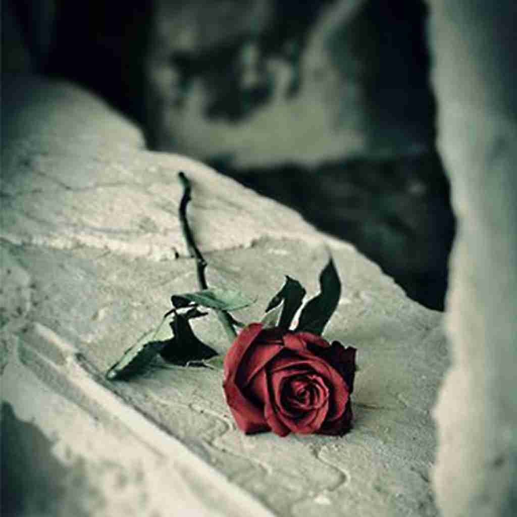 هوا چه بارونیه هی به تو فکر میکنم هوش مصنوعی