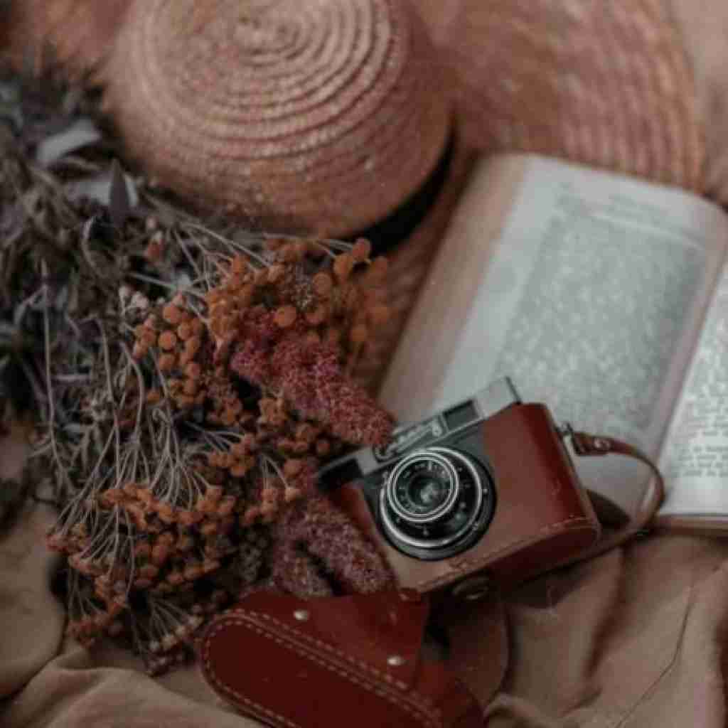 تو خیلی گلی و ما سیگاری تو پیپری و ما جاسیگاری