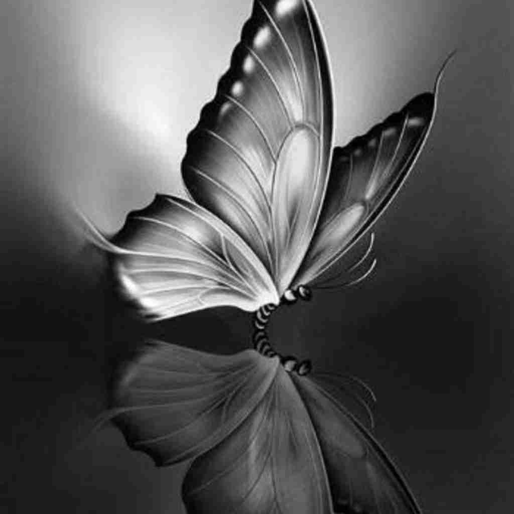 امروز اولین صبح بدون توعه کاشکی هیچ وقت نمیشدم بیدار