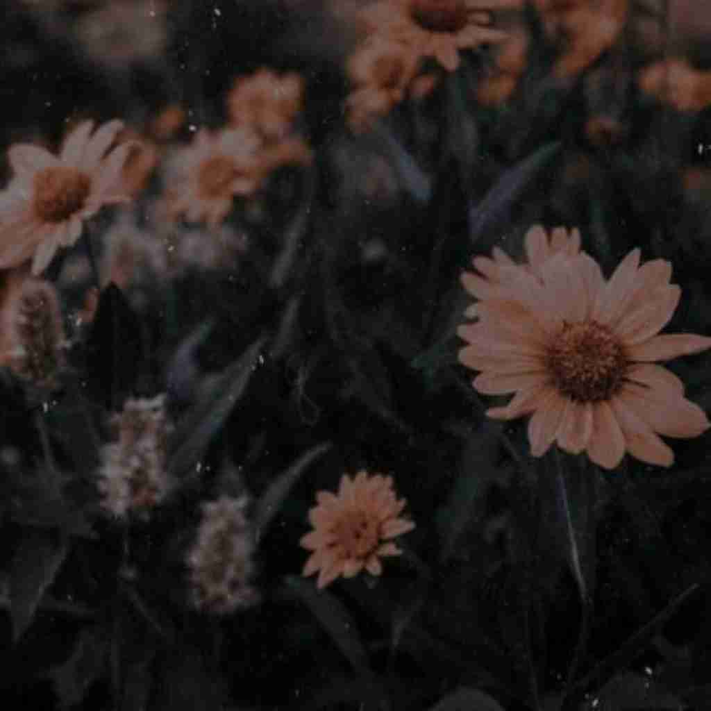 طبق ماده 130 به گفته بی بی سی