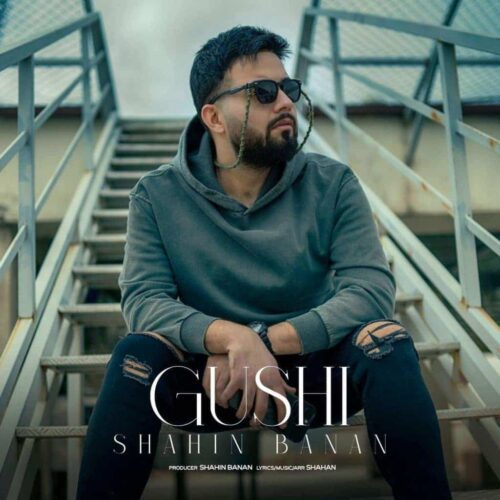 دانلود آهنگ گوشی از شاهین بنان