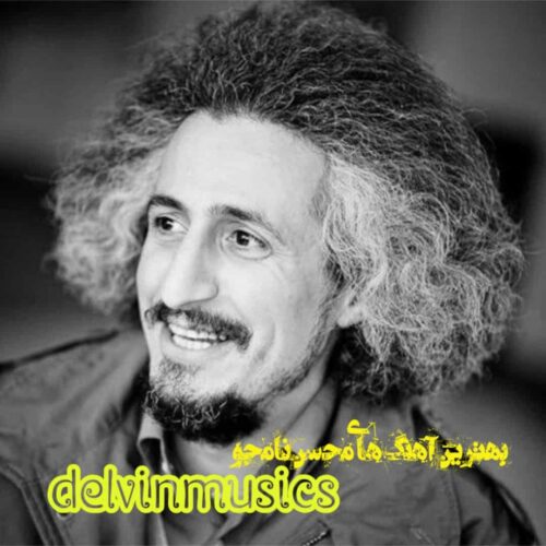 دانلود بهترین آهنگ های محسن نامجو
