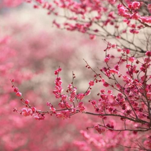 وقتی هوا بارونیه دل من تنگ خیابونیه هوش مصنوعی