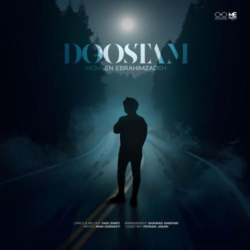 محسن ابراهیم زاده دوستام همه ولم کردن