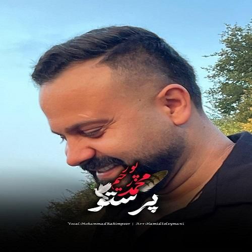 محمد رحیم پور پرستو