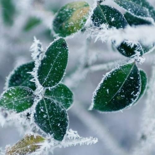 هر جا بریم خوبه همونجا هر جا بریم خونه همونجاست