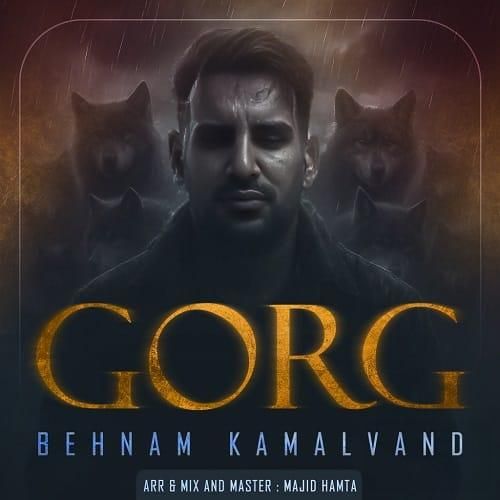 بهنام کمالوند گرگ