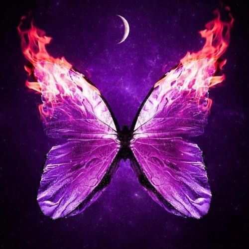 باهامی نمیترسی از کلانی خودم ردی ام تو هم روانی