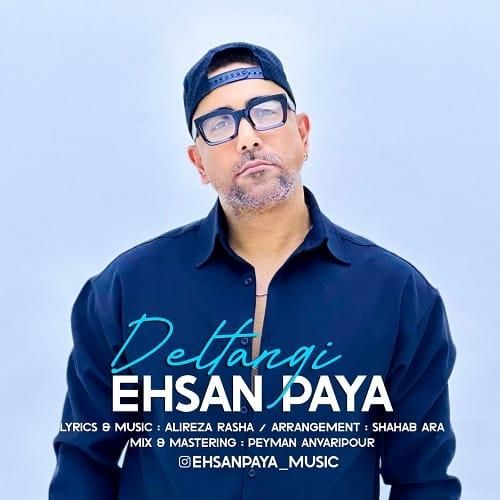 احسان پایا دلتنگی