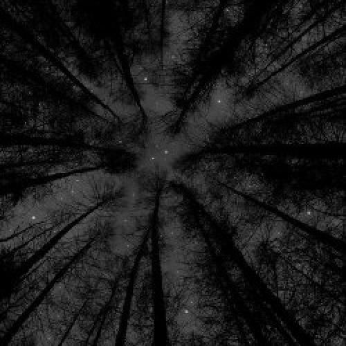 اگه بد بودم واست اگه قلبم زود جا زد هوش مصنوعی