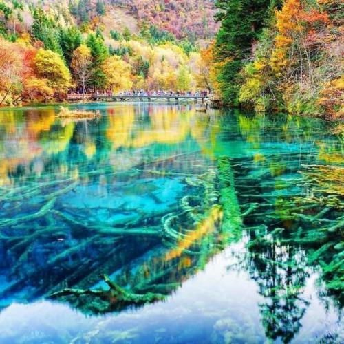 عوضی برو نزار حالم بشه بدتر از این هوش مصنوعی