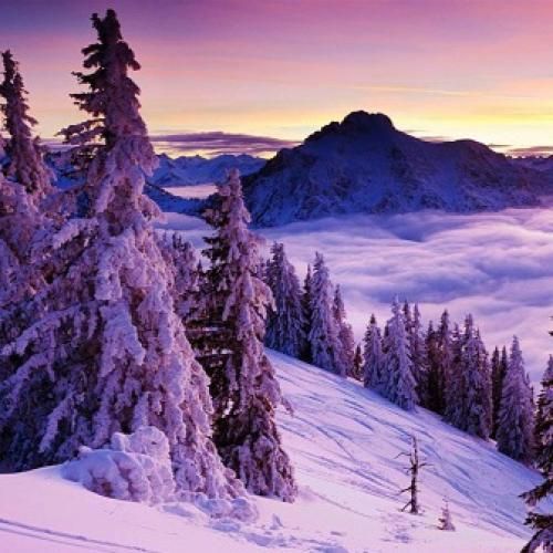  یا نمیفهمی یا که داری خودتو میزنی به نفهمی