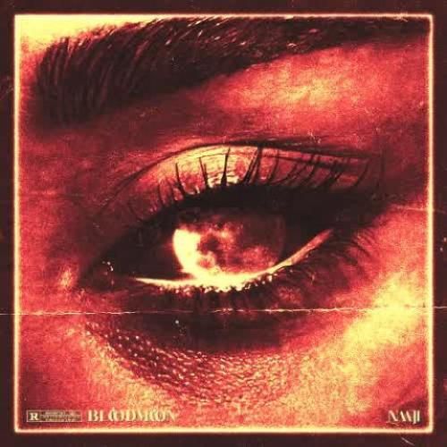 ناجی بلاد مون