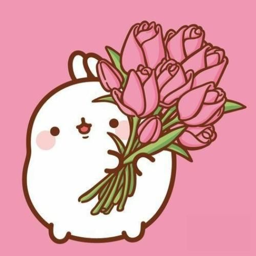  اکسمو واسه بار چندم دیدمش تو یه جای رندم