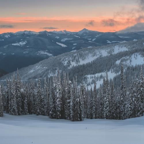  تو دیوونه منم از تو دیوونه تر مهم نیست چی میگذره