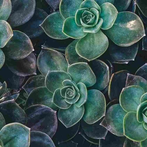 دانلود آهنگ جدید خودم میدونم نمیخواد بگی وای چه زشت میخوام دوستامو