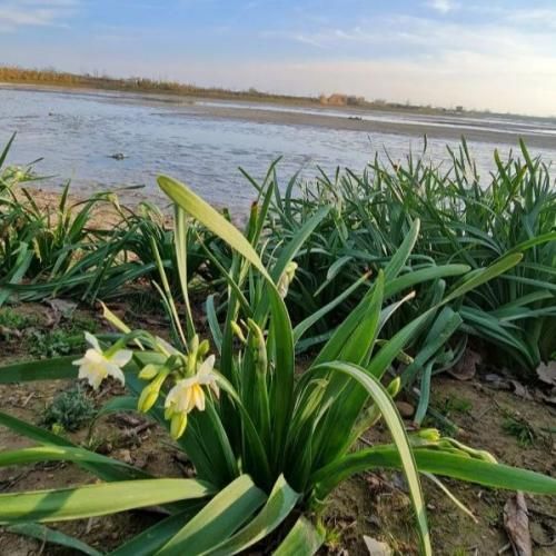 دانلود آهنگ جدید از مبینا به داداشم مبینا داداش چطوری دانلود آهنگ جدید از مبینا به داداشم مبینا داداش چطوری