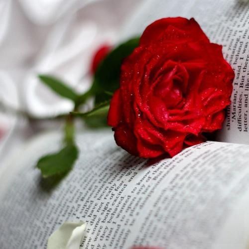  دورم هیشکی نی احمق ولی باز بهم گیر میدی هر شب