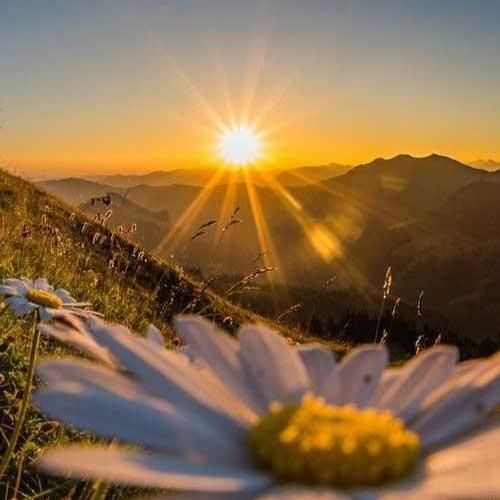 دانلود آهنگ جدید اصلا نمیدونم این دافه کیه پیش من بچه خوبیه