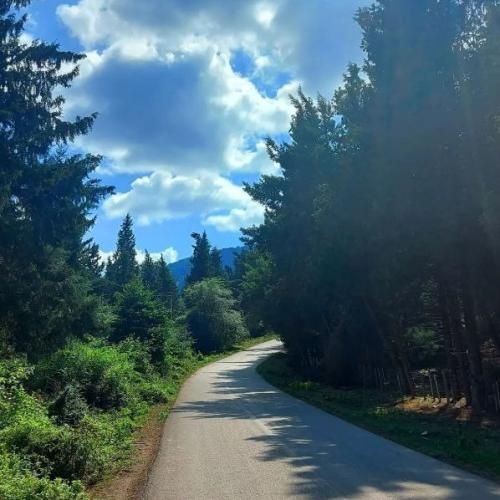 دانلود آهنگ جدید ای ساربان آهسته ران با صدای زن هوش مصنوعی دانلود آهنگ جدید ای ساربان آهسته ران با صدای زن هوش مصنوعی