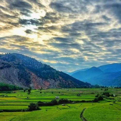 دانلود آهنگ جدید به بالا وصلم میسازم کش من اگه این احوال پیدام نی