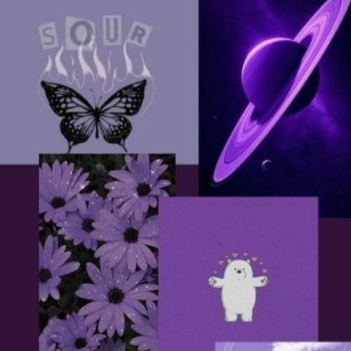  رابطمون درخشید چیزی درست نمیشه با ببخشید