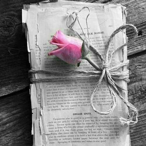 دانلود آهنگ جدید هیچوقت فمیلی و دلم نمیخواست اگه ندارم الان به کسی تراست