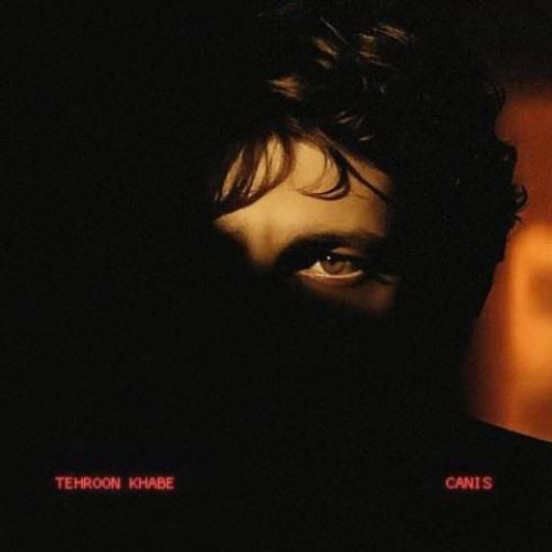 دانلود آهنگ تهرون خوابه از کنیس