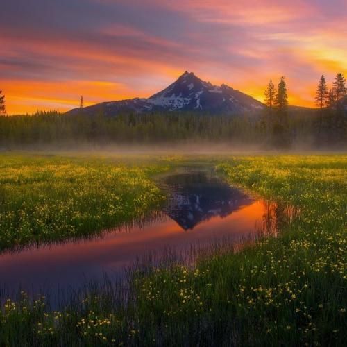 دانلود آهنگ جدید بیبی کیو چی میخواد بیاد بین ما دوتا