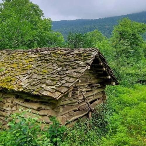 دانلود آهنگ جدید میگن مستی و راستی هرز در اومد هر چی و کاشتیم