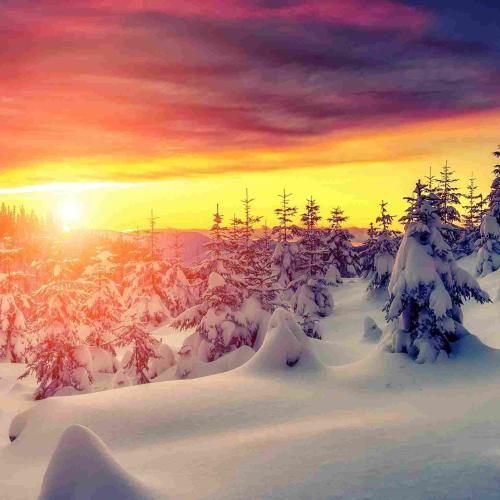 دانلود آهنگ جدید شدم تک و تنها الان شده دردم لاعلاج دیگه قلبم