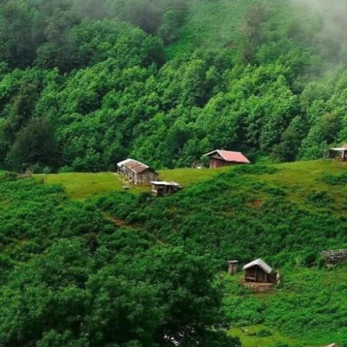 الان خوبی بدی چی شدی چطوری کجایی ها