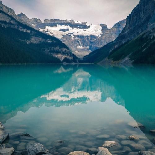 بگذر ز من ای آشنا چون از تو من دیگر گذشتم